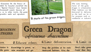 Species at Risk