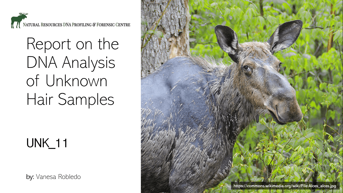 Non-Human DNA Presentation