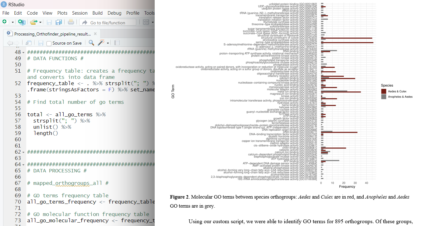 Comparative Genomics of Mosquitos Using Orthofinder